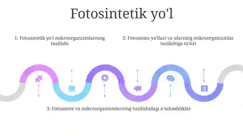 O’Simliklar Organizmlar Tuzilishi 4