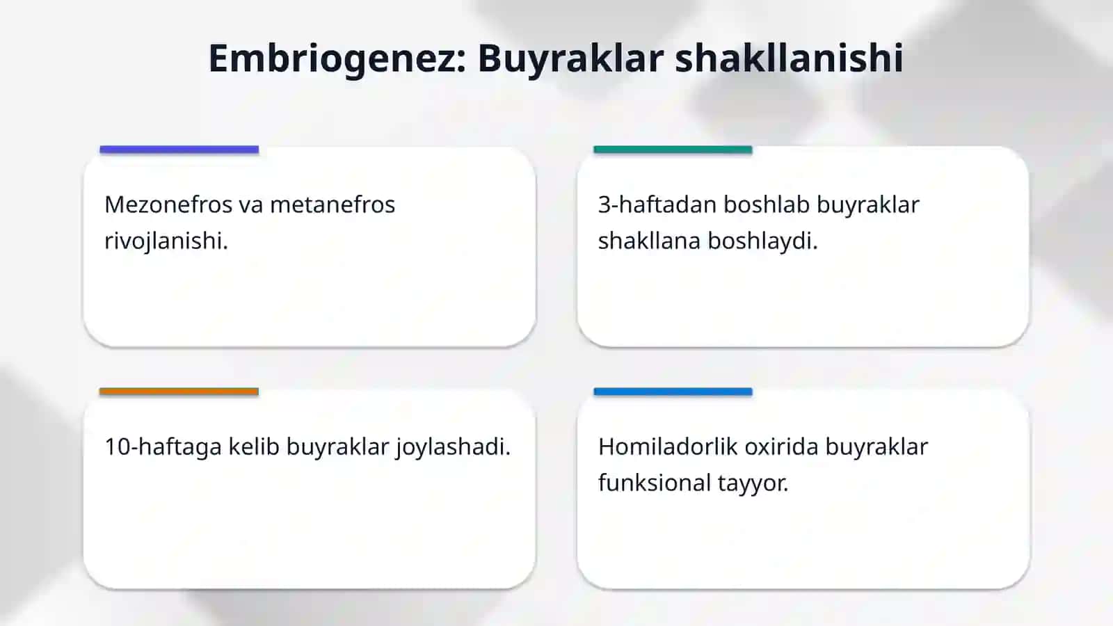 Bolalarda buyraklarni anatomo-fiziologik hususiyatlari 4