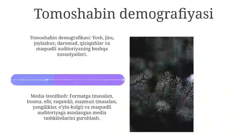 Media Tasniflashning Qo'llanilishi 4