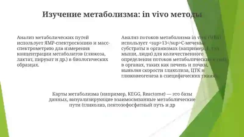 Методы изучения обмена веществ 4