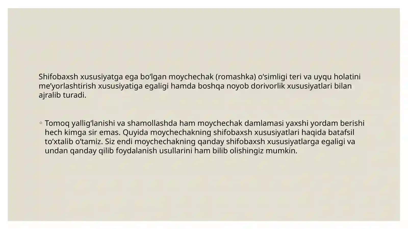 Moychechak - Romashka 4