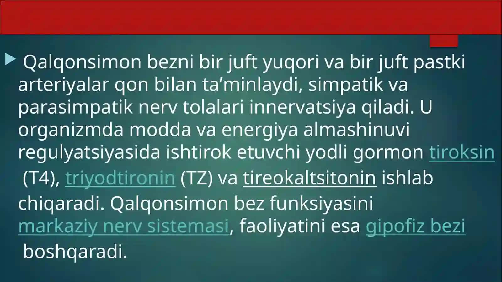 Qalqonsimon bez fiziologiyasi 4