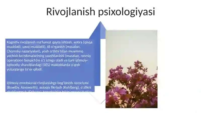 Psixologning asosiy faoliyat turlarini tashkillashtirish 4