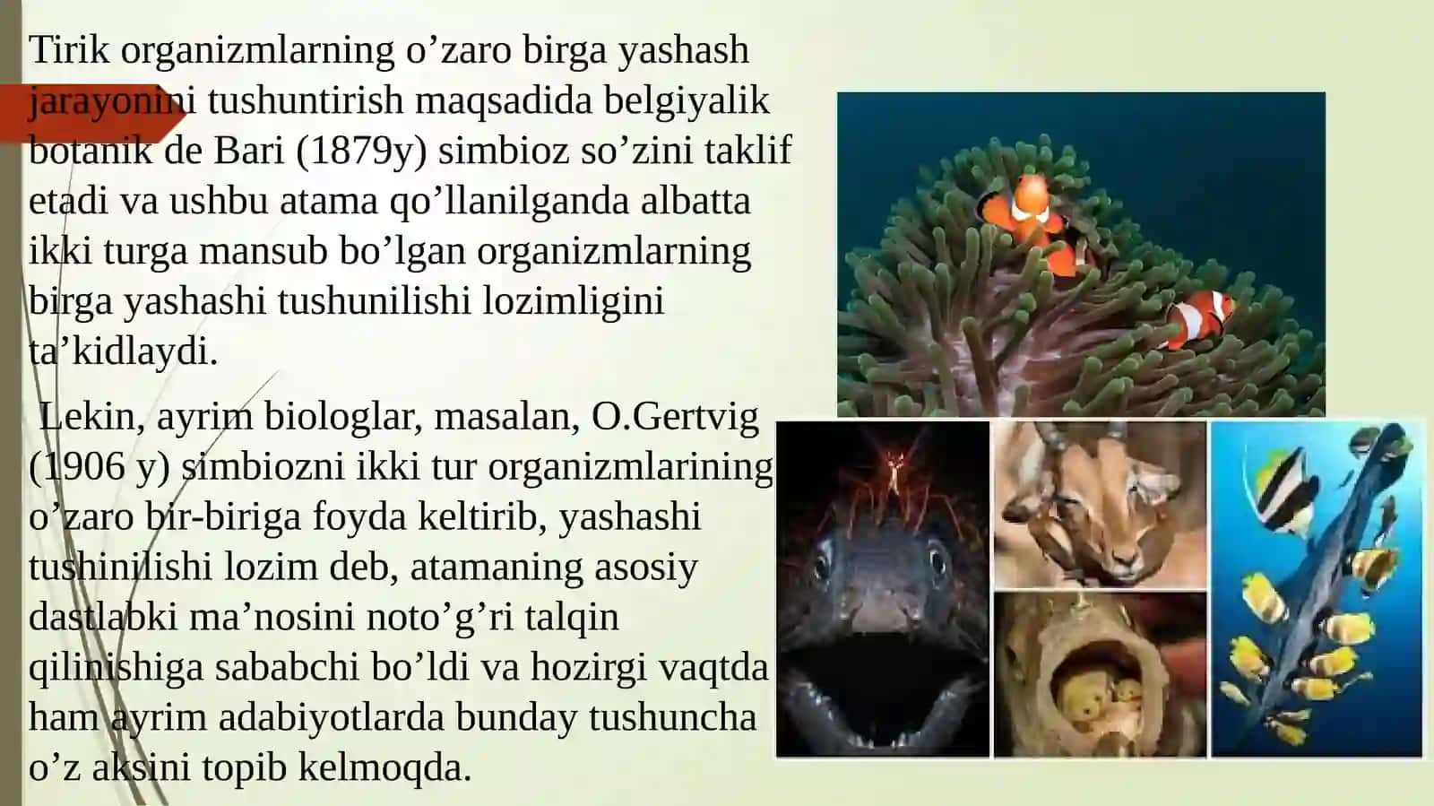 Tirik organizmlarning o’zaromunosabatlari va uning asosiy shakllari 4