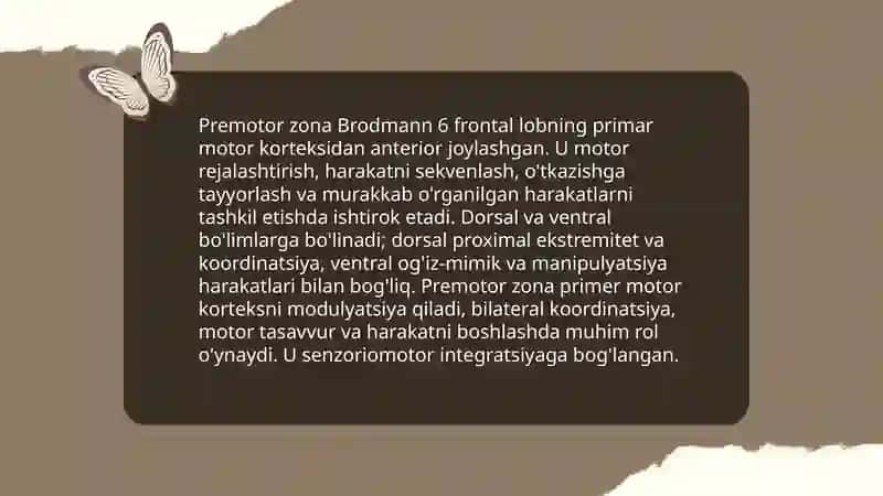 Bosh miya yarim sharlarining funksional zonalari motor, sensor assotsiativ 4
