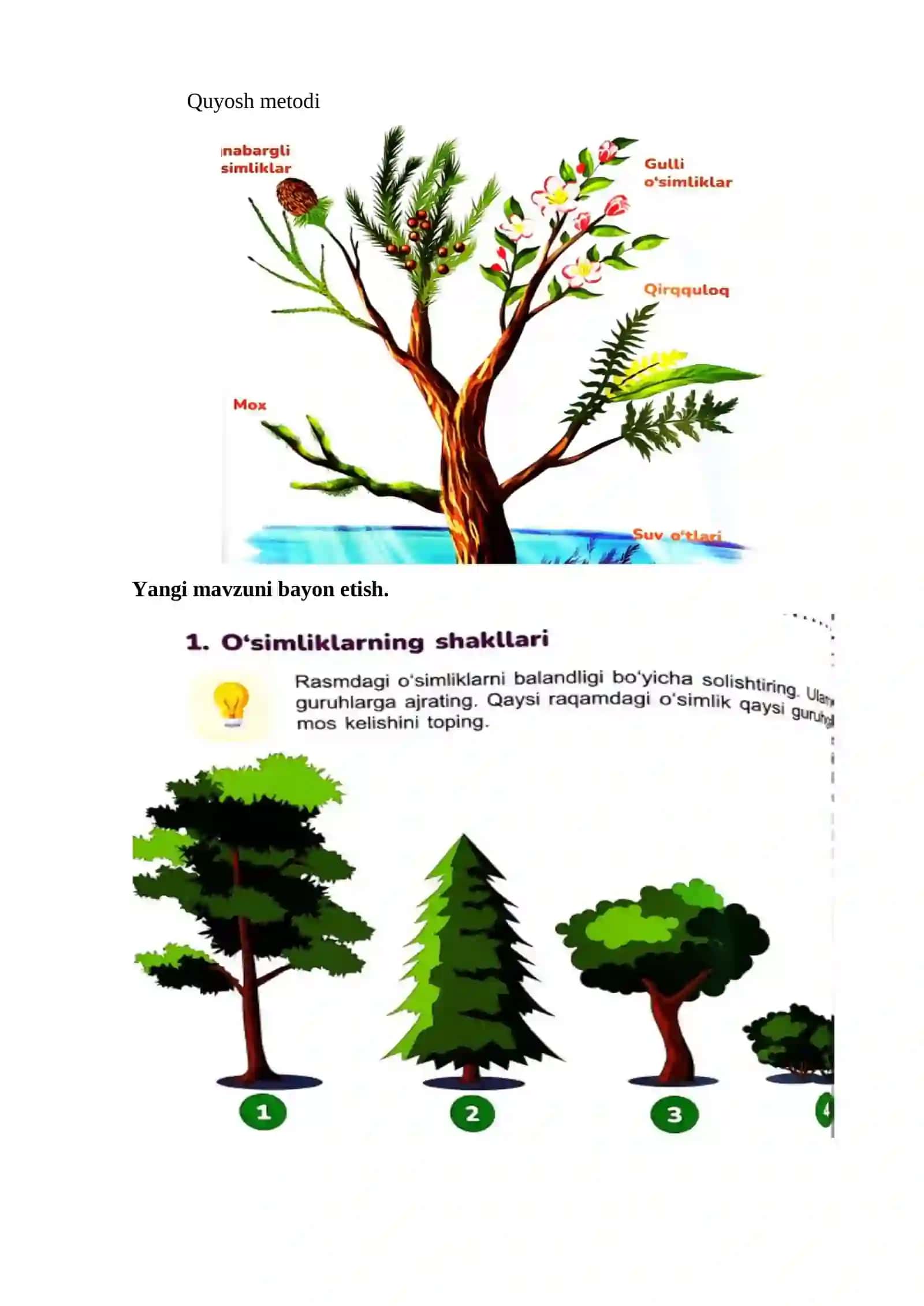 Daraxtlar, oʻtlar, butalar 4