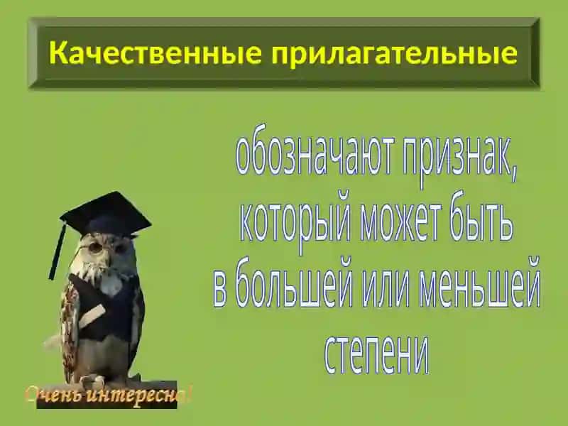 Имя прилагательное. Разряды прилагательных 4