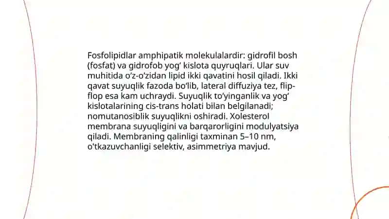 Plozmalemma va biologik membranalar tuzilishi 4