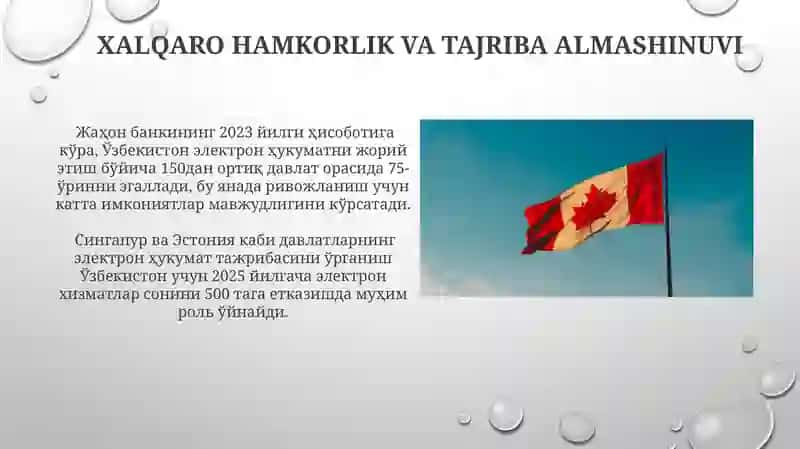 Elektron hukumatni joriy etish boʻyicha jahon tajribasi 4