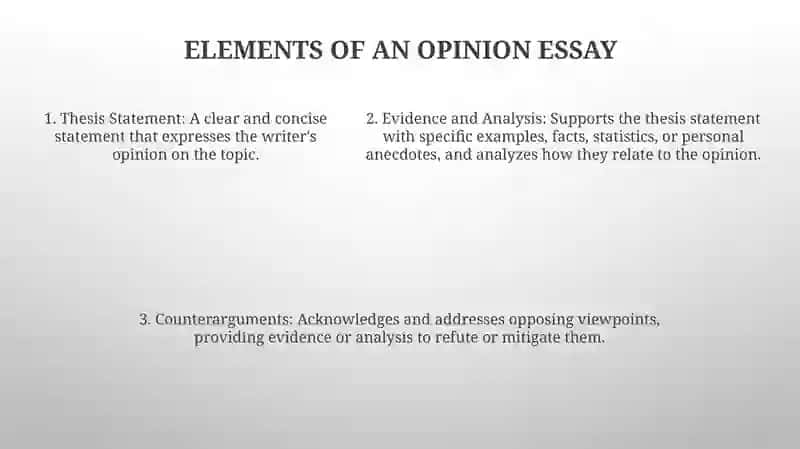 Opinion Essay 4
