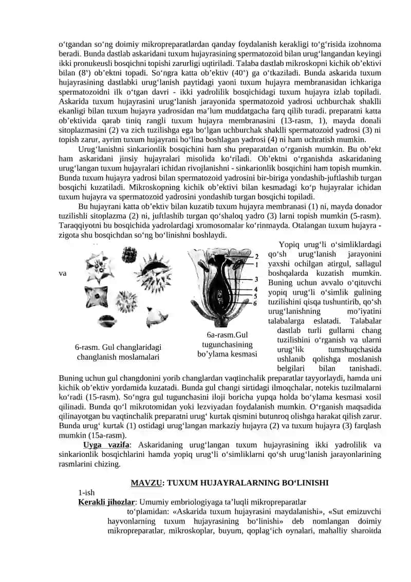 URUG’DON VA URUG’ XUJAYRALARINING TUZILISHI VA BIOLOGIC XUSUSIYATLARI 4