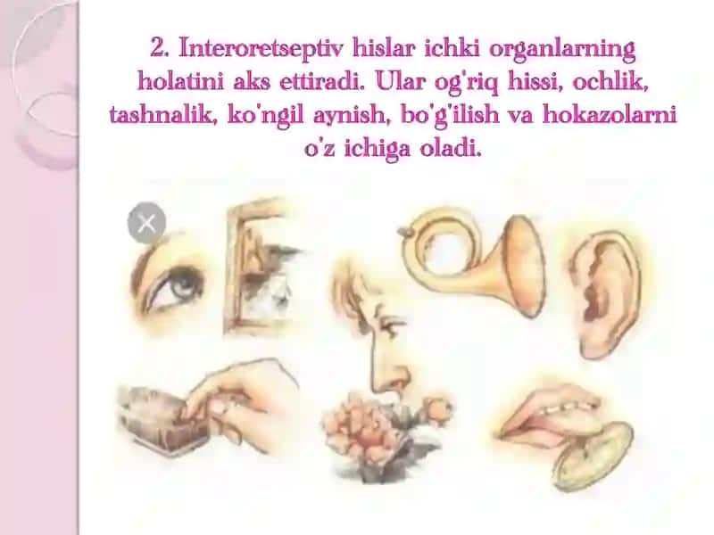 SEZGI TURLARI 4