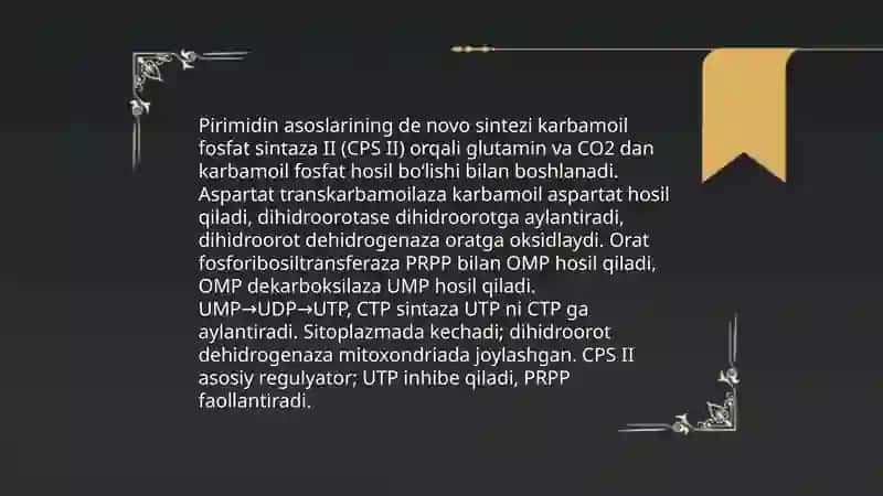 Purin va pirimidin asoslari almashinuvi 4