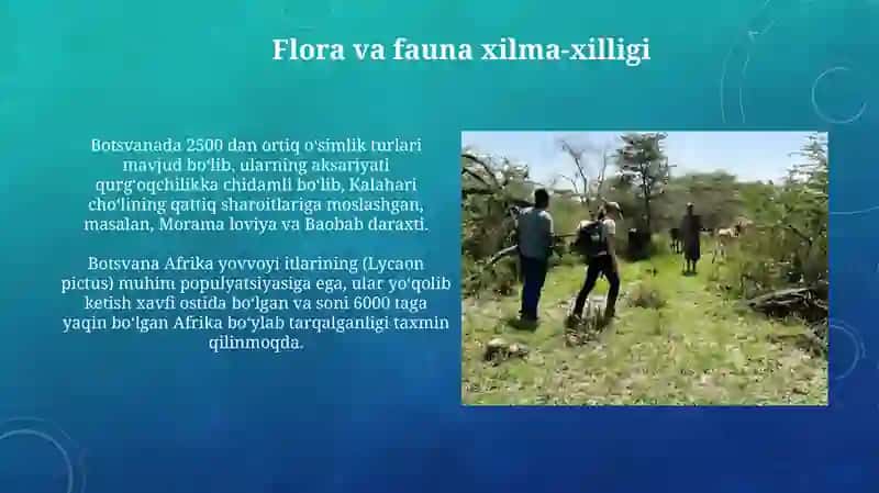 Botsvana ekologiyasi va ekoturizmi 4
