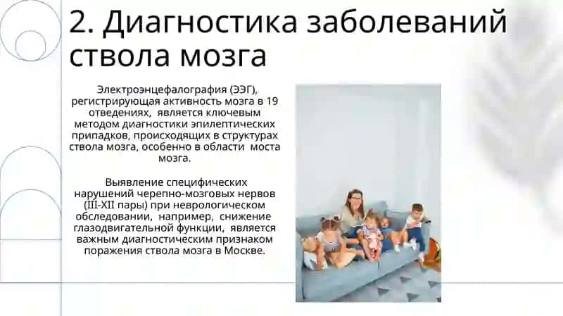 Ствол головного мозга 4