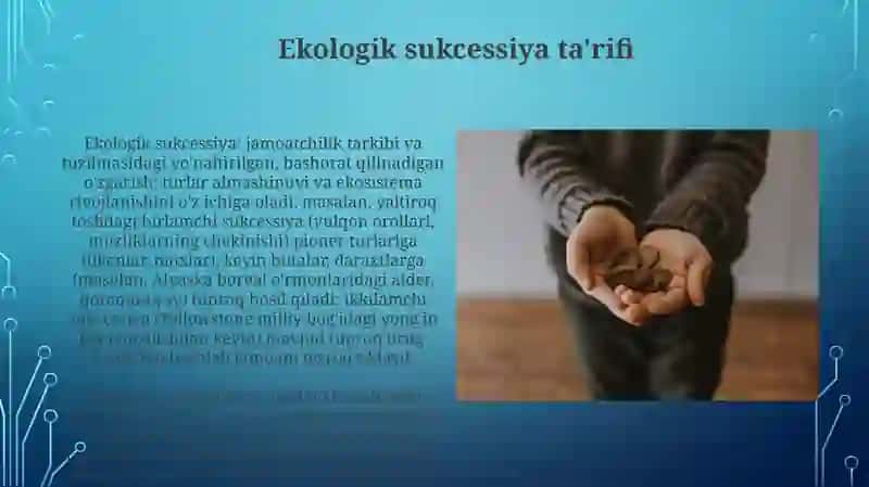 Ekotizimlarning o'zgarishi. Suksessiya hodisasi 4