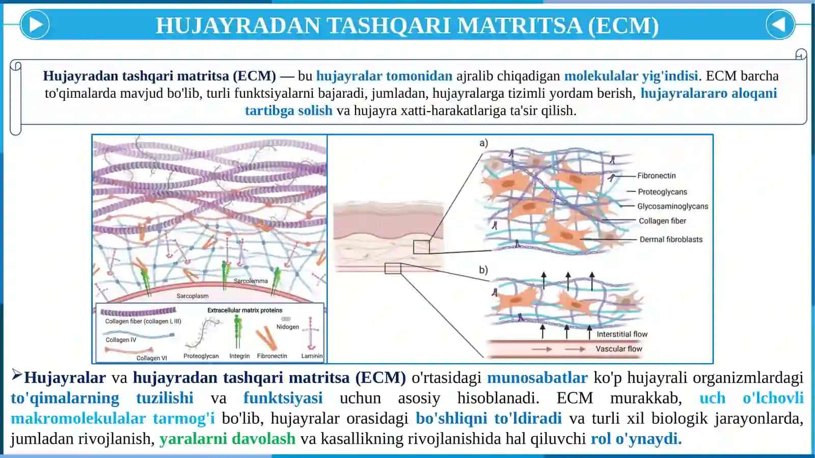 HUJAYRA VA HUJAYRADAN TASHQARI MATRIKS ORASIDAGI MUNOSABATLAR 4