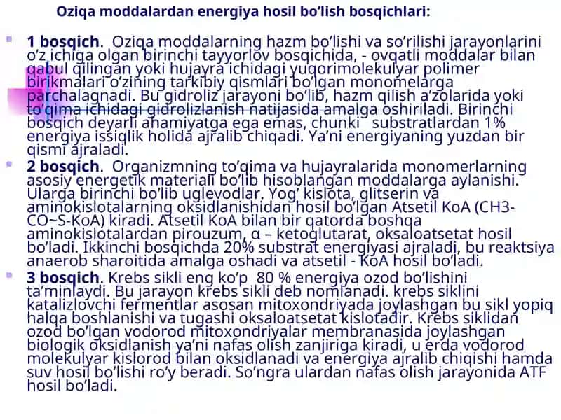 Bioenergetika va metabolizm 4