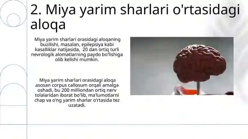 Bazal ganglionlar 4
