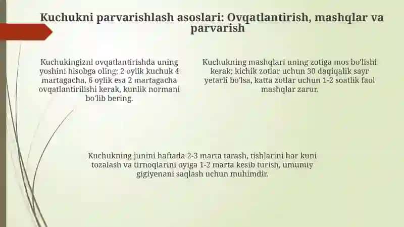 Kuch va uni tarbiyalashning asoslari 4