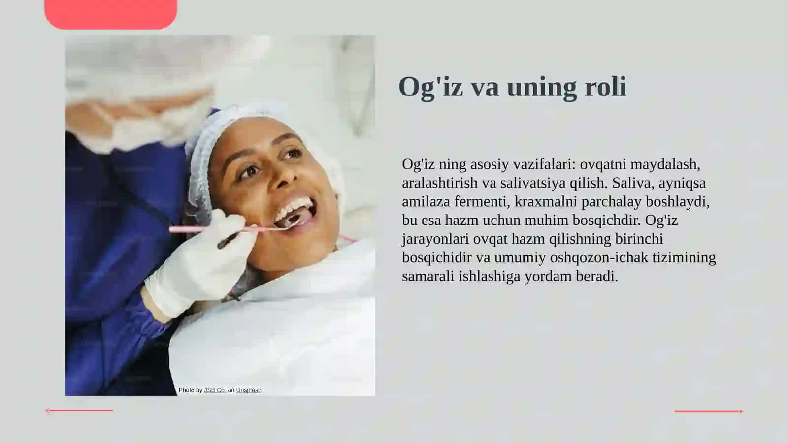 Ovqat hazm qilish fiziologiyasi 4