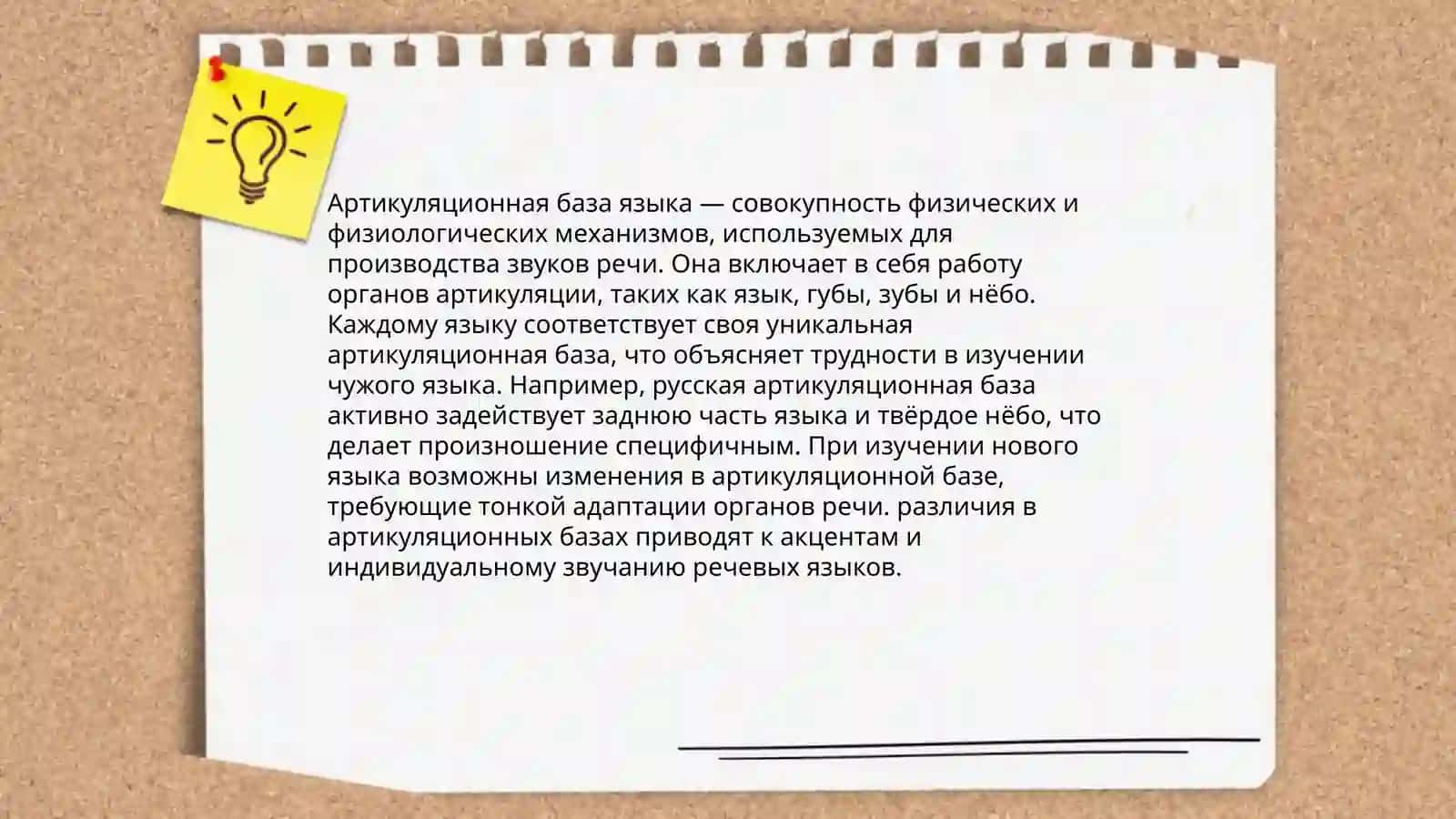 Артикуляция звука, его фазы. Артикуляционная база. Речевой аппарат 4