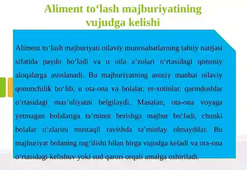 Alimentlarni to‘lash va undirish tartibi 4