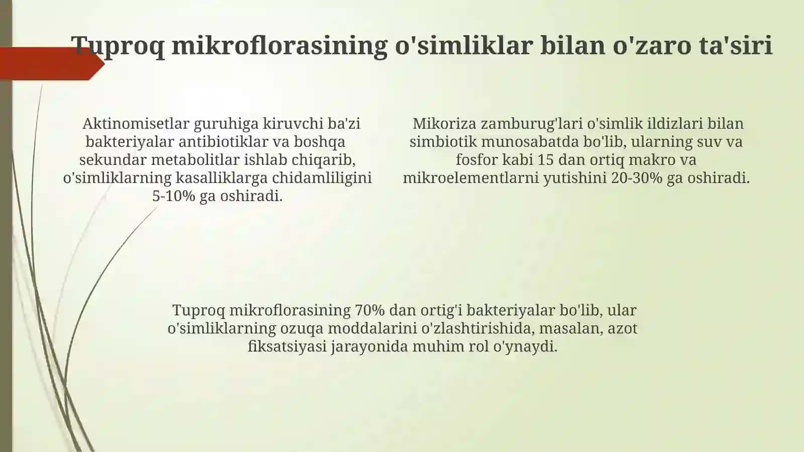 Tuproq mikroflorasi 4