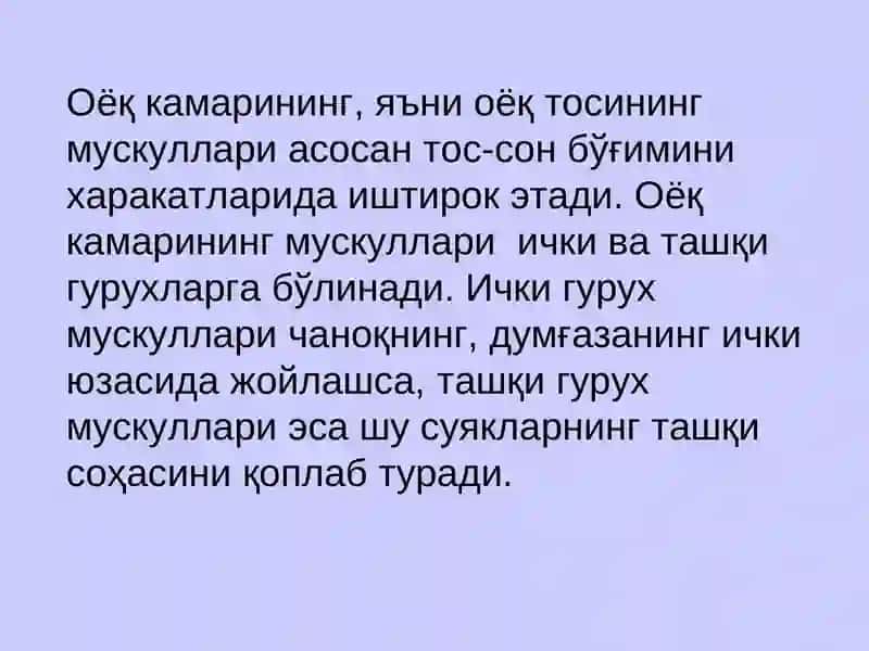 Оёқ камарининг мускуллари 4