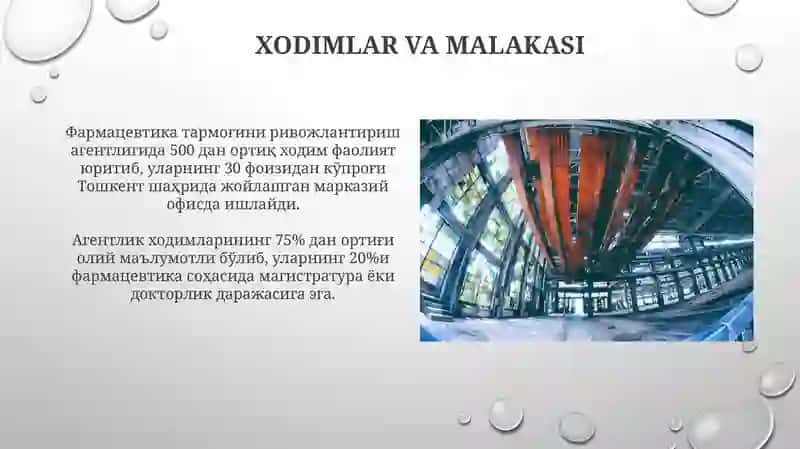Farmatsevtika tarmog’ini rivojlantirish agentligining tarkibiy tuzilmasi 4