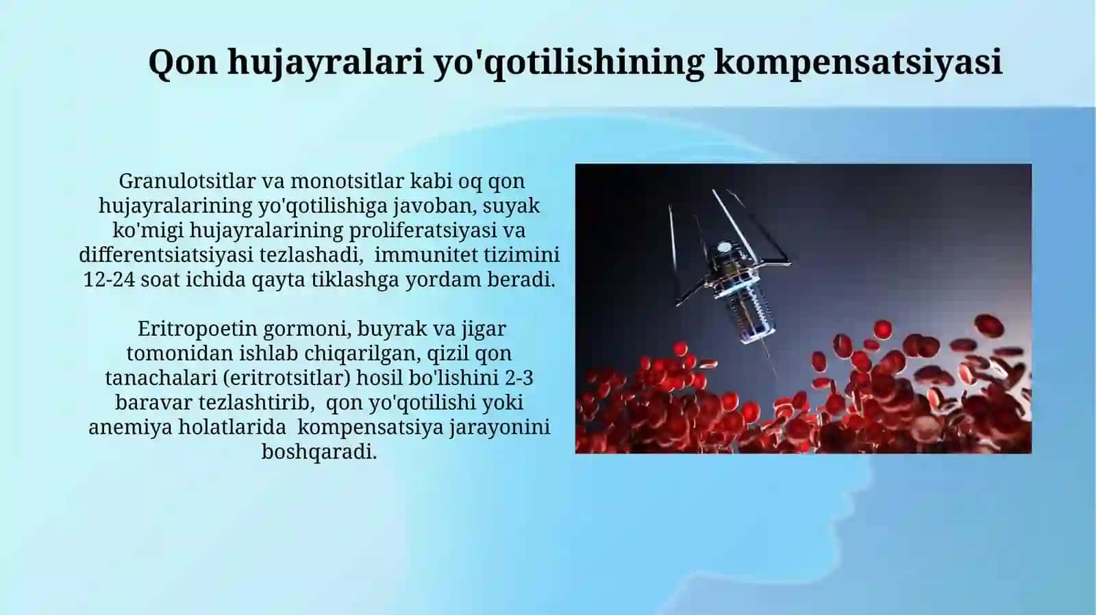 Qon hujayralarining fiziologik va reperativ regeneratsiyasi mexanizmlari 4