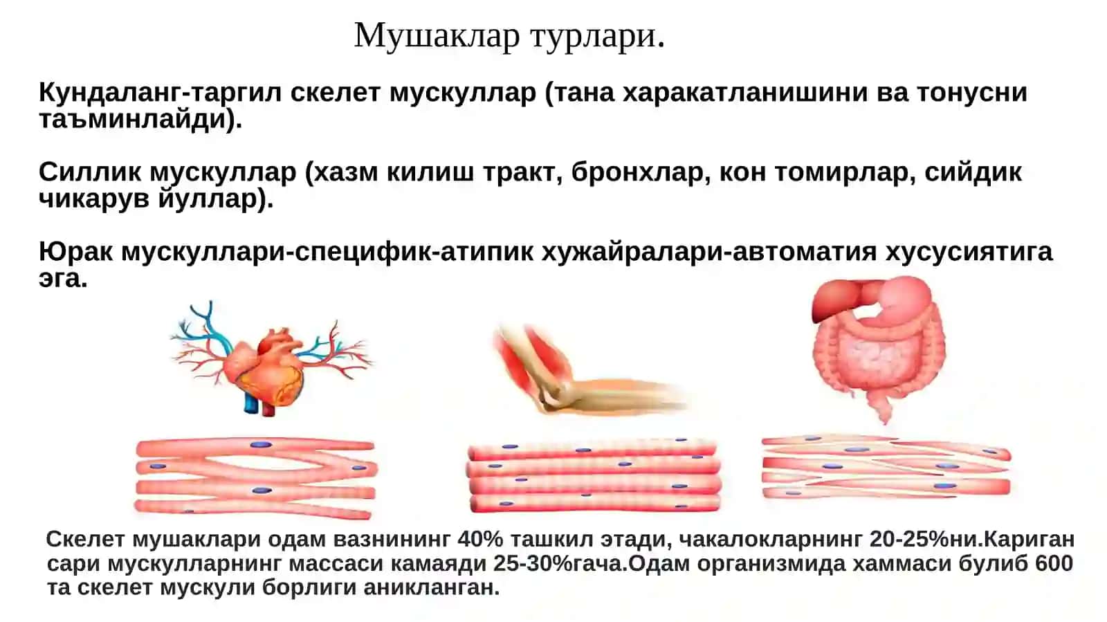 Мушаклар физиологияси 4