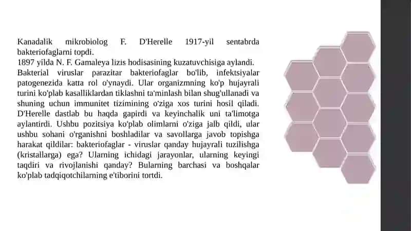 Bakteriofaglar 4