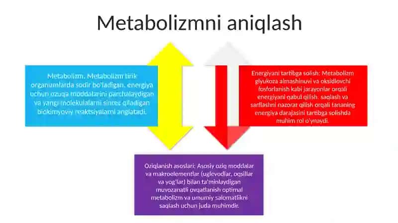 Fizologiya fanidan mustaqilishi 4