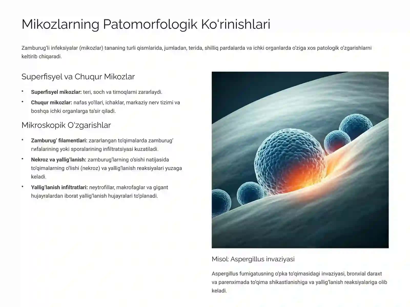 Mikoz va Mikotoksikozlar Patomorfologiyasi 4