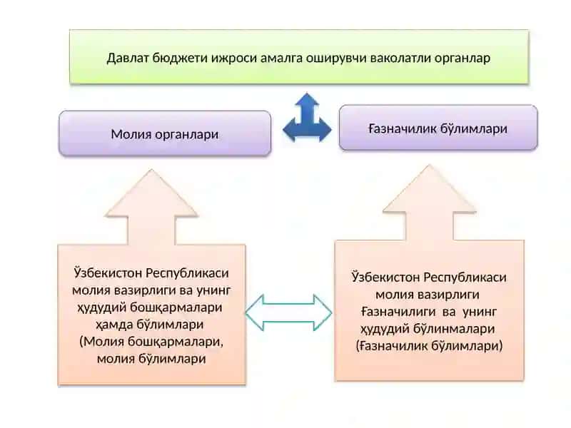 Молия органлари ва унинг ҳудудий бўлинмаларида бухгалтерия ҳисобини ташкил асослари 4