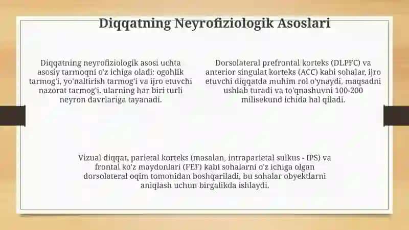 Diqqat va uning nerv fiziologik asoslari 4