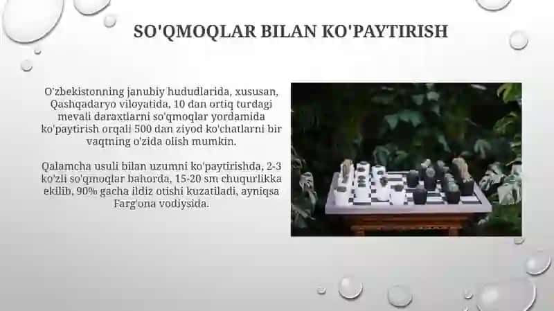 Vegetativ ko'payishning afzalliklari va kamchiliklari 4