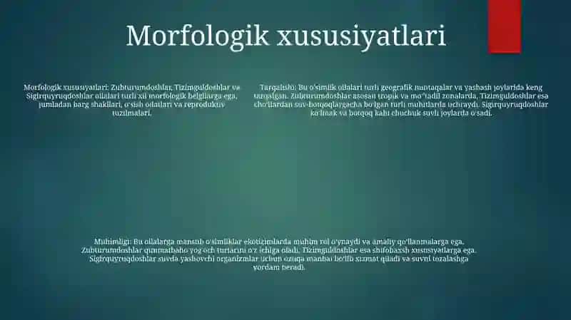 Zubturumdoshlar, Tizimguldoshlar Va Sigirquyruqdoshlar Oilalari Vakillarining Tuzilishi, Tarqalishi Va Ahamiyati 4