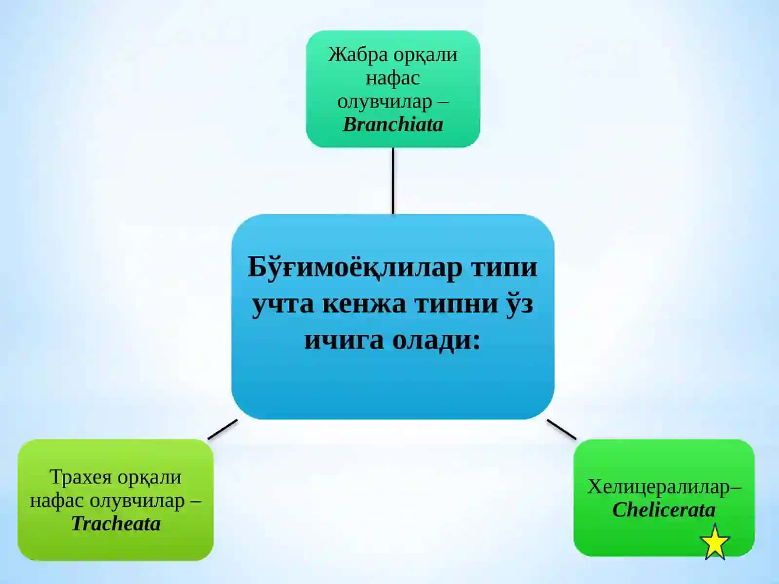 Тиббиёт арахноэнтомологияси ва заҳарли ҳайвонлар 4