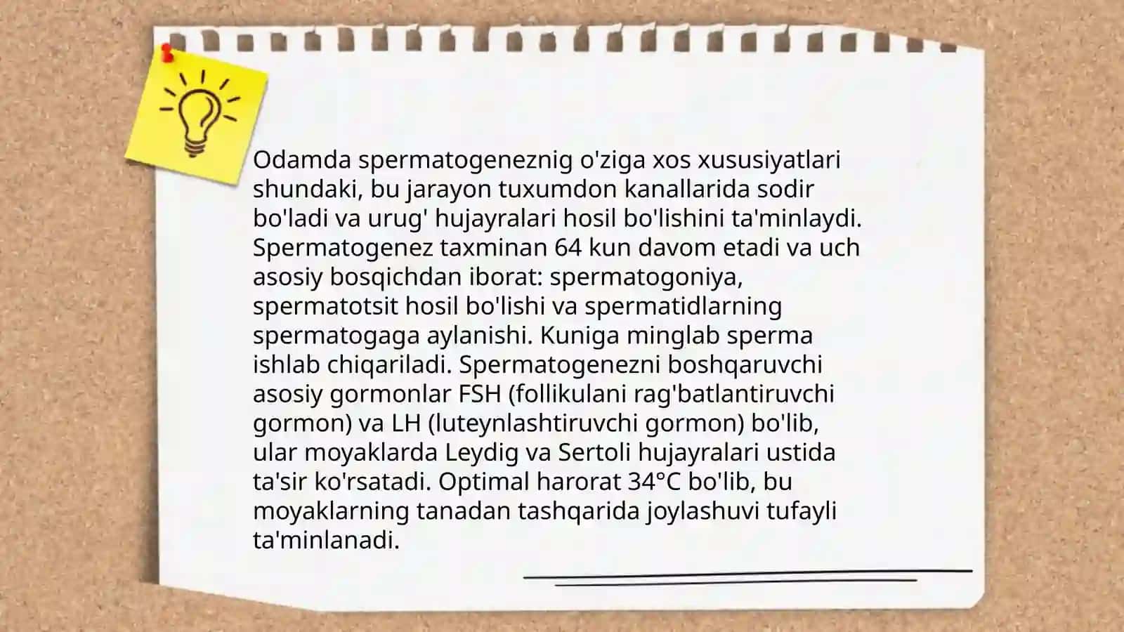Odamda ovogenez va spermatogenezning oʻziga xosligi 4