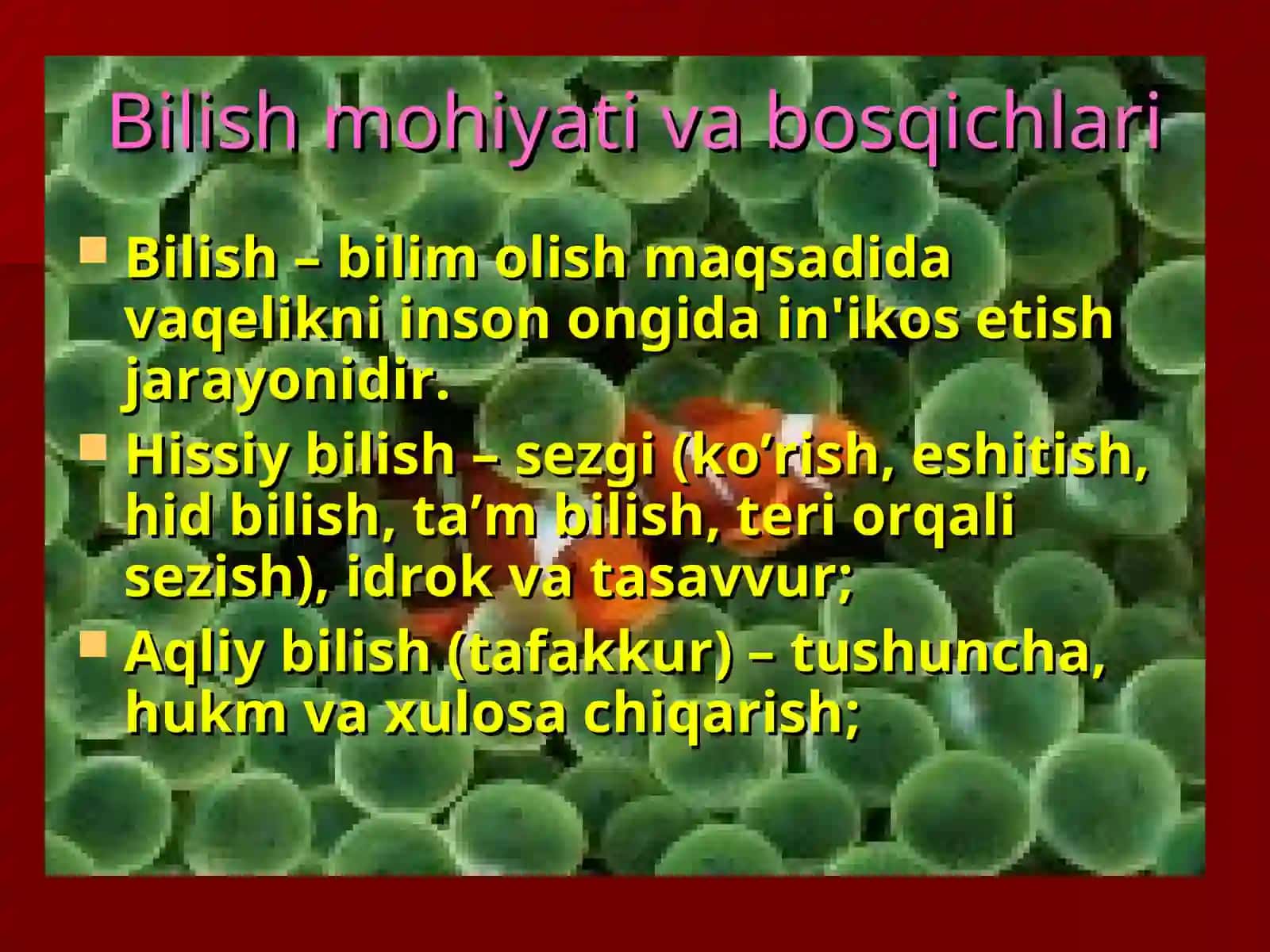 Formal mantiqnini asosiy qonunlari va prinsiplari 4