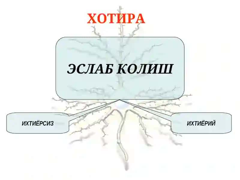 Хотира, диккат, интеллект. Асосий хусусиятлари. 4