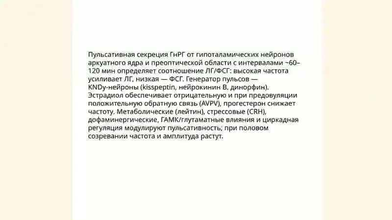 Механизм горморального регуляции полового цикла 4