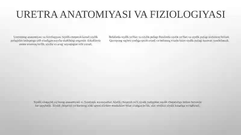 Bolalarda Siydik YoʻLi Siydik Pufagi Siydik Chiqarish Kanali Anatomo-Fiziologik Hususiyatlari 4