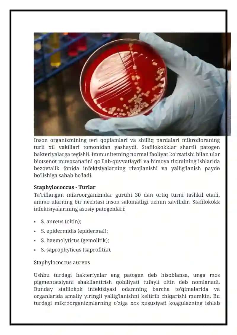 STAFILOKOKLAR 4