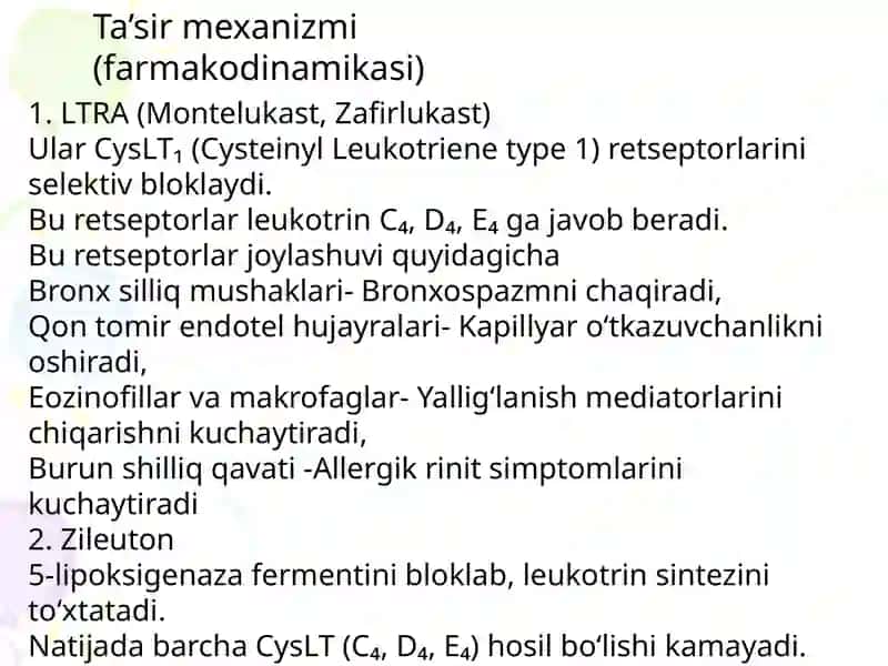Leukotrinlar 4