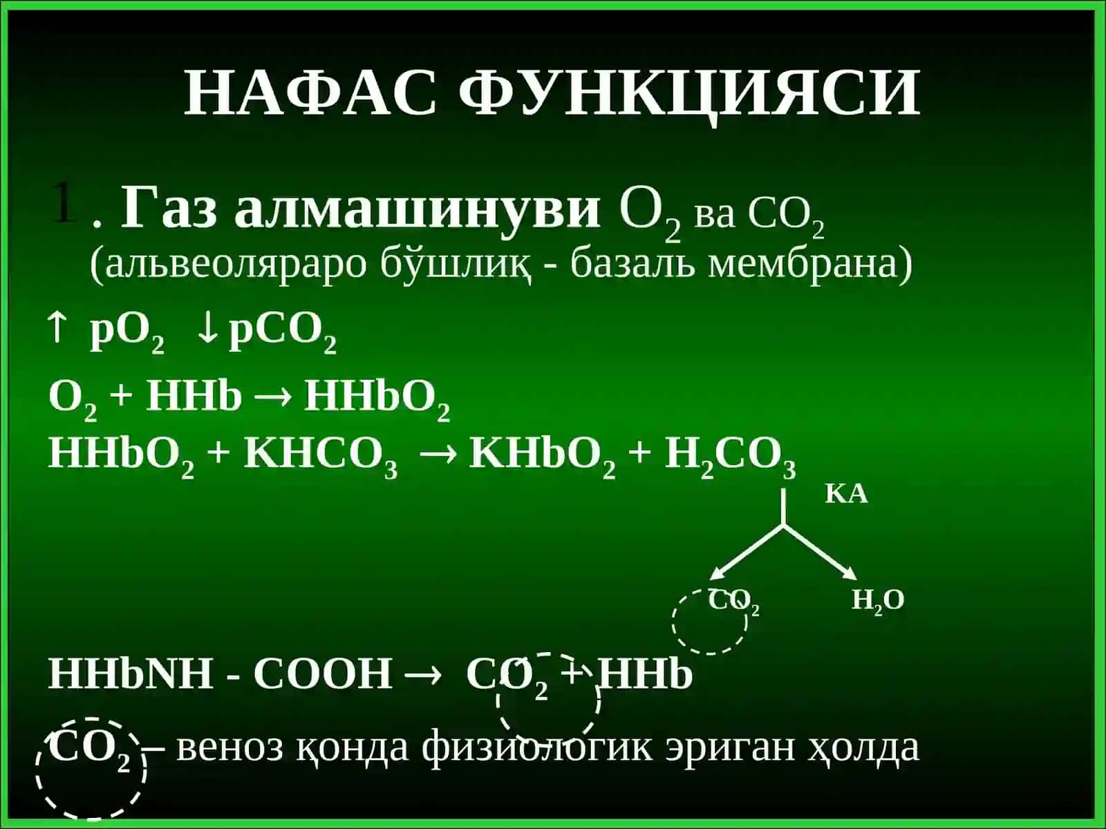 ЎПКАЛАР БИОХИМИЯСИ 4