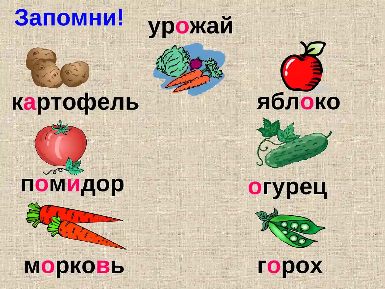 Словарные слова«ОГОРОД»3 класс 4