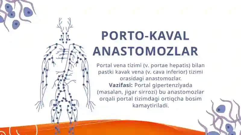 KAVA-KAVAL ANASTOMOZLAR 4
